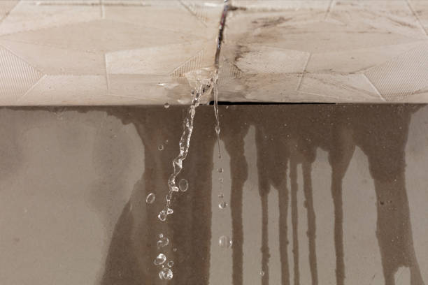 Professional Structural Drying technician working in Riverside, NY
